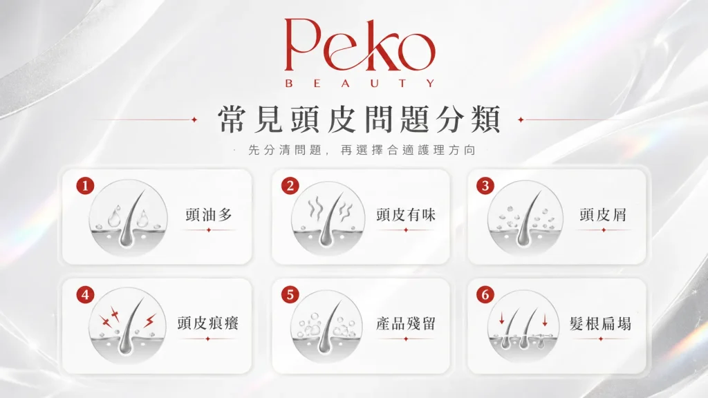 頭皮護理問題分類頭油頭味頭皮屑頭痕