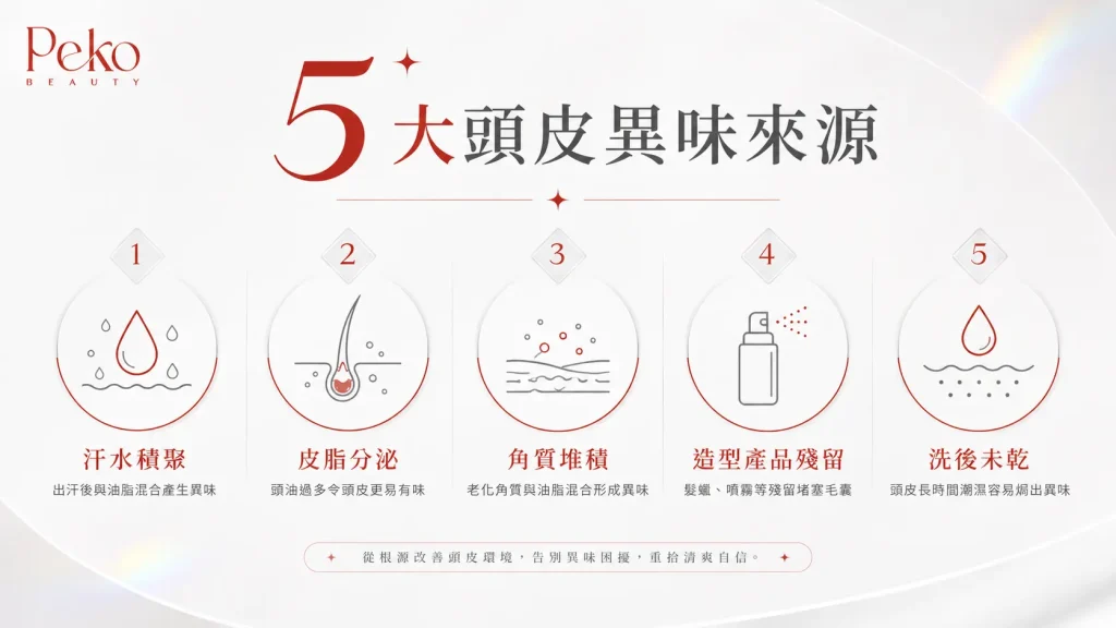 頭皮有味原因汗水油脂角質殘留示意圖